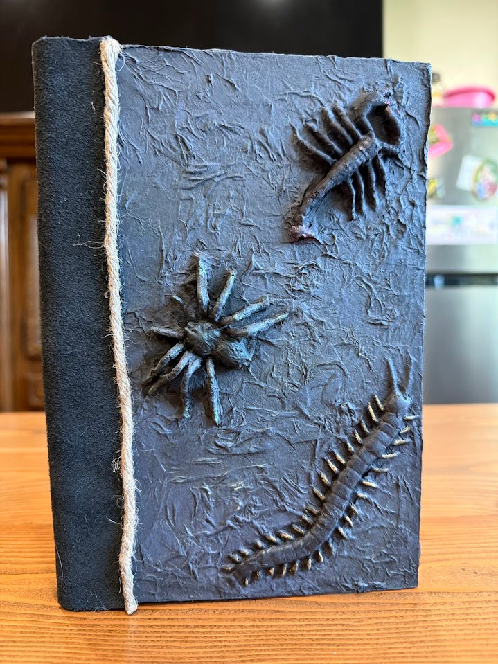 Curiosity Cabinet: Insect Collector's Journal