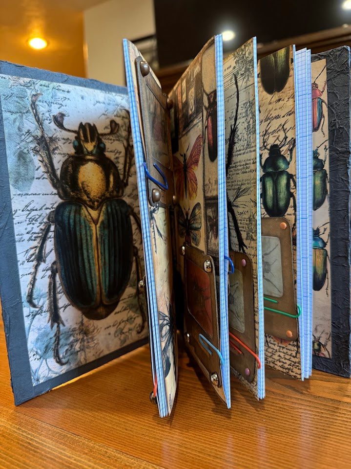 Curiosity Cabinet: Insect Collector's Journal